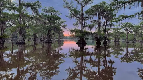 Texas Des cowboys et des dauphins