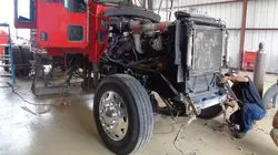 Texas Chrome : l'empire Mendez