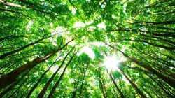 Thaïlande : à la rescousse de la faune sauvage