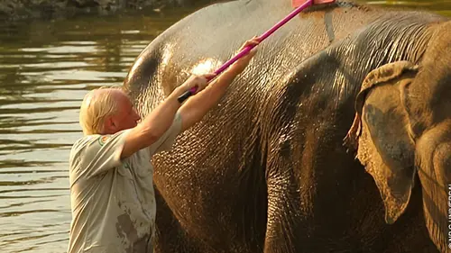 Thaïlande : à la rescousse de la faune sauvage