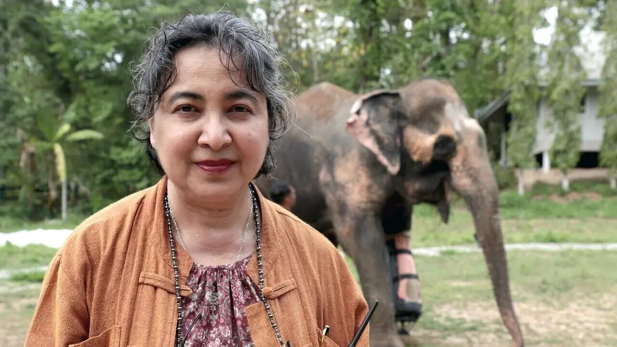 Thaïlande, l'hôpital des éléphants