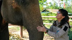 Thaïlande, un festival de couleurs