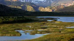 Thalassa Patagonie, nature extrême