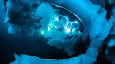 Arctique-Antarctique : les givrés des pôles