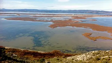 Languedoc-Roussillon : entre mer et lagunes