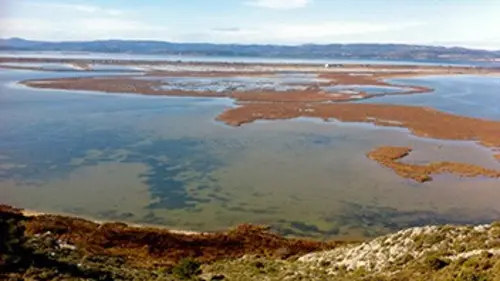 Thalassa Languedoc-Roussillon : entre mer et lagunes