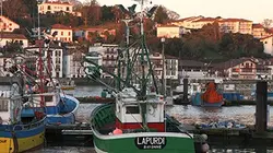 Thalassa Pays basque, la nouvelle vague