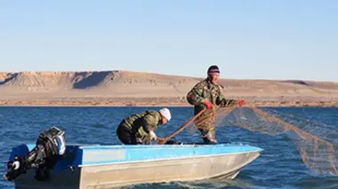 Et si on sauvait la mer !