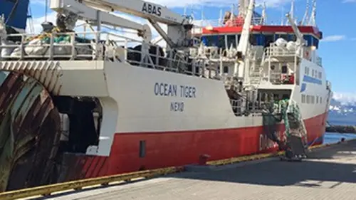 Thalassa Vendée, Charente-Maritime : à la découverte d'une crevette d'exception