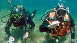 Visuel de Thalassa