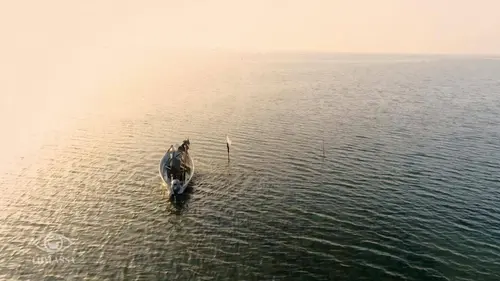 Thalassa De Banyuls-sur-Mer à Gruissan