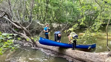 Bassin d'Arcachon, au fil de la Leyre