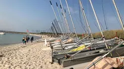 Thalassa
