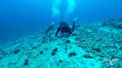 Thalassa, aventures extrêmes