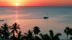 Thalassa, aventures extrêmes Bahamas, le royaume des requins