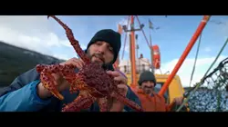 Thalassa, aventures extrêmes Patagonie, sur la route des baleines