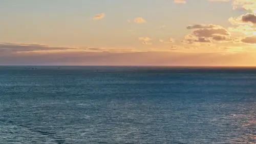 Thalassa, aventures extrêmes Japon, à la poursuite du thon rouge