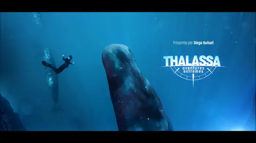 Thalassa, aventures extrêmes