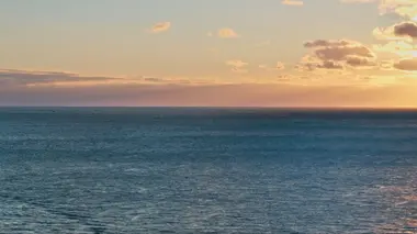 Thalassa, aventures extrêmes Japon, à la poursuite du thon rouge