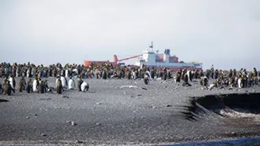 Thalassa Coup de chaud sur l'Antarctique !