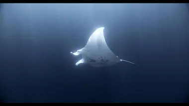 Thalassa De Moorea aux Iles Marquises, aventures en Polynésie