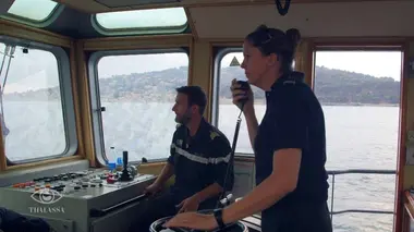 Thalassa De Toulon à Porquerolles