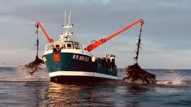 Thalassa Des Abers à la mer d'Iroise