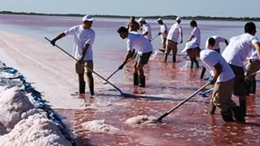 Thalassa La Camargue, en toute liberté