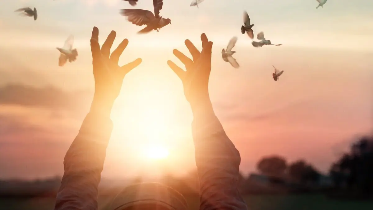 The Ambassadors of Hope