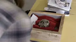 The American Runestone Un squelette dans le placard