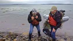 The American Runestone Apporter sa pierre à l'édifice