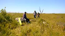The American Runestone Don't Worry, Be Happy