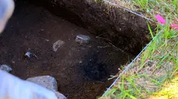 The American Runestone Creuser au plus profond en streaming