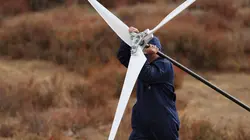 The Big Brain Theory