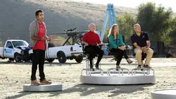 The Big Brain Theory