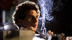 The Big Brain Theory