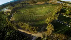 The Biggest Little Farm