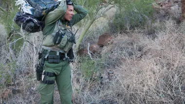 La créativité des cartels