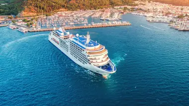 The Cruise