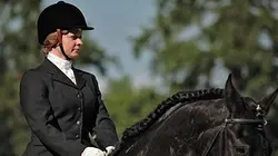 Visuel de The Dark Horse