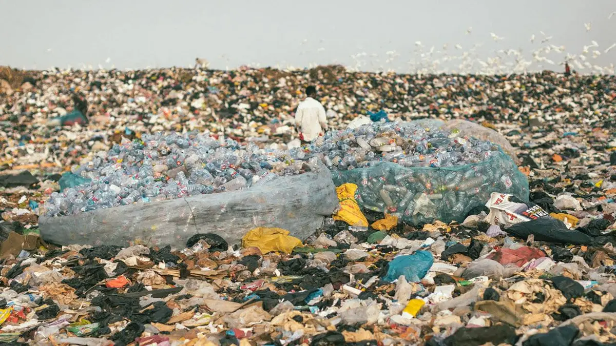 The Earthshot Prize: Repairing Our Planet: Protéger et restaurer la nature