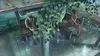 The Garden of Words