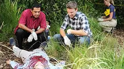 The Glades