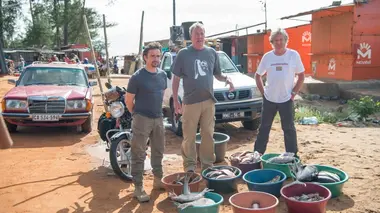 The Grand Tour Passé contre futur