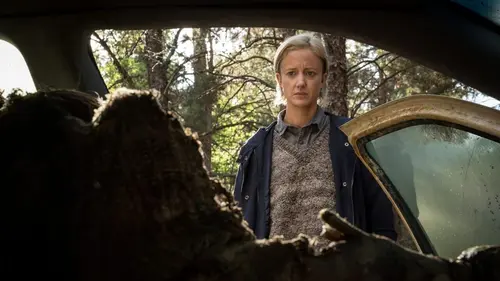 The Grudge en streaming