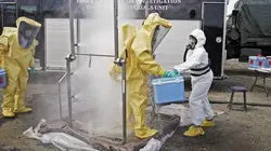 Visuel de The Hot Zone: Antrax