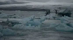 The Infinite Explorer