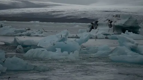 The Infinite Explorer Islande