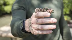 Visuel de The Island, les secrets de l'île