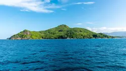 The Island : Seuls au monde